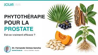 Phytothérapie et prostate : est-ce efficace ? Ce que disent les études